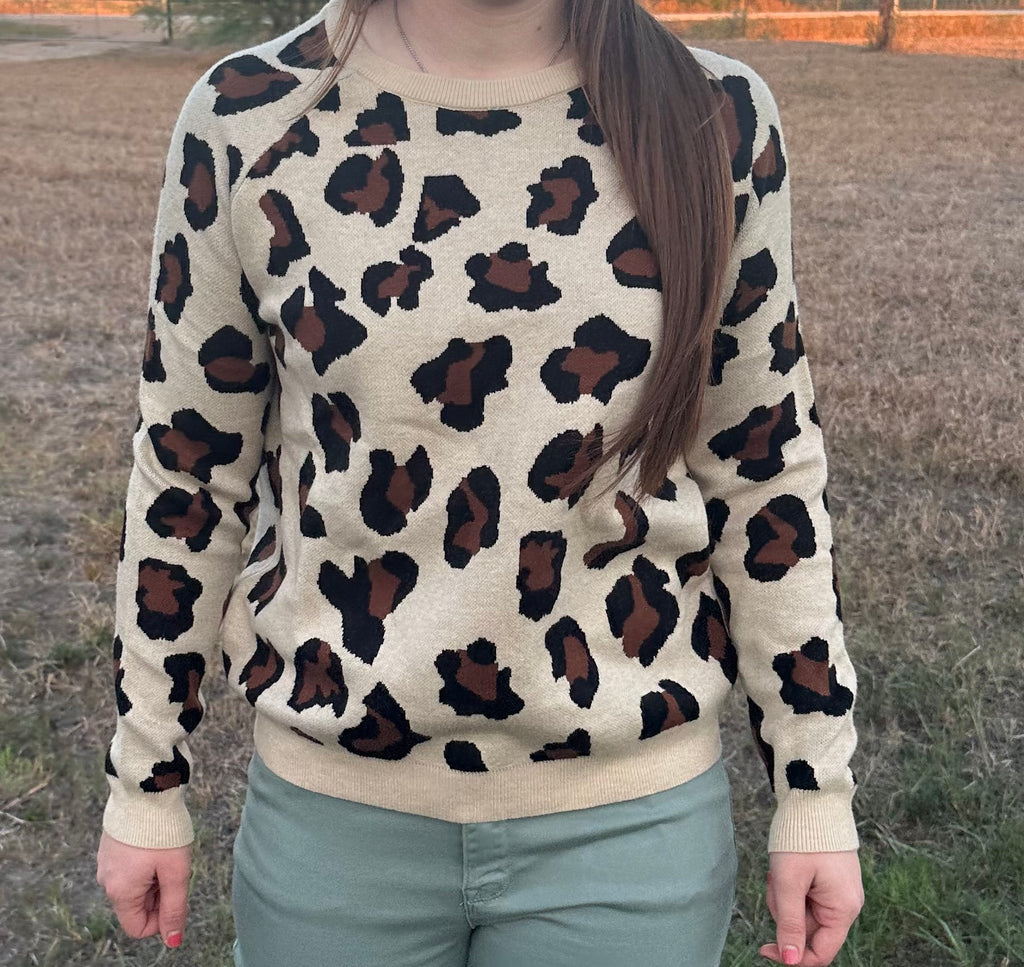 Cheetah Crew Neck Sweater
